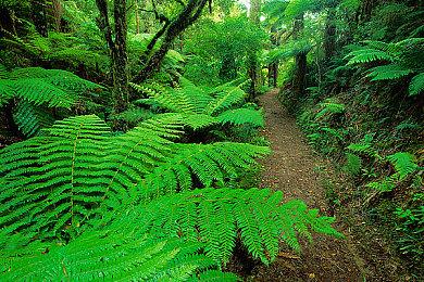 悬疑冒险游戏《暗黑拍卖》试玩版现已登陆Steam