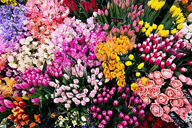 《无畏契约》新更新12月发布 官方宣布削弱霓虹角色