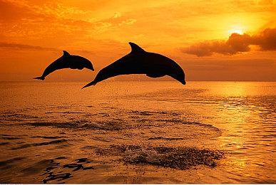 Xbox Series X＆S版《使命召唤18》容量95GB